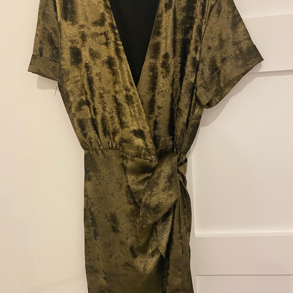 Zara dress